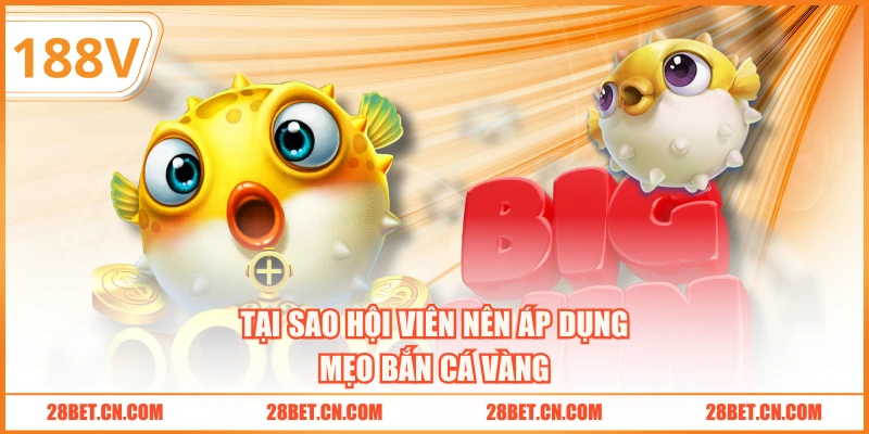 Tại sao hội viên nên áp dụng mẹo bắn cá vàng